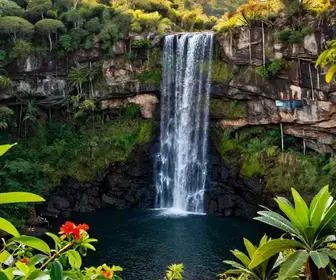 Descubra a Beleza da Cachoeira do Roncador na Paraíba