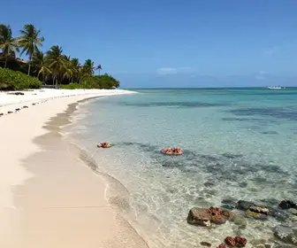 Descubra a Beleza da Ilha de Areia Vermelha na Paraíba