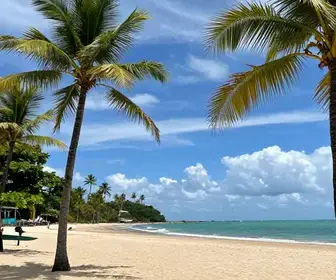 Descubra a Encantadora Praia de Carapibus na Paraíba