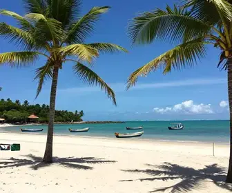 Descubra a Praia de Baía da Traição: Um Paraíso na Paraíba