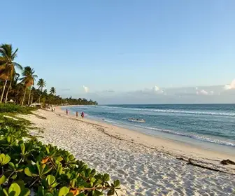Descubra a Praia de Costinha: Um Paraíso na Paraíba