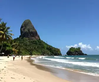 Descubra a Praia de Lucena: Um Paraíso na Paraíba