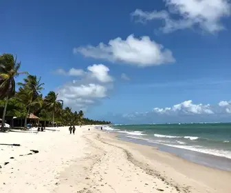 Descubra a Praia de Pitimbu: Um Paraíso na Paraíba