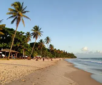 Descubra a Praia de Tabatinga: Um Paraíso na Paraíba Descubra a Praia de Tabatinga: Um Paraíso na Paraíba