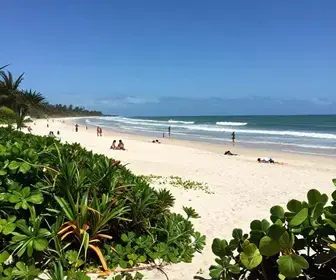 Descubra a Praia do Forte: Um Paraíso na Paraíba