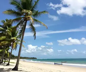 Descubra as Encantadoras Praias de Lucena na Paraíba Descubra as Encantadoras Praias de Lucena na Paraíba