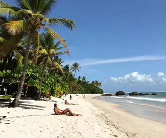 Descubra as Melhores Praias Calmas na Paraíba