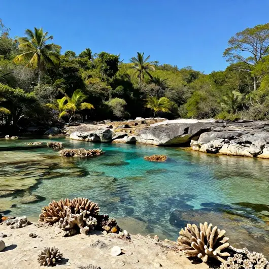 Descubra as Piscinas Naturais do Seixas