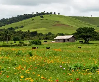 Descubra Chã de Jardim: O Paraíso Rural em Areia - PB