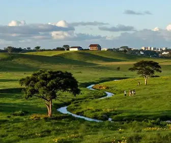Descubra o Encanto do Brejo Paraibano: Um Passeio Imperdível