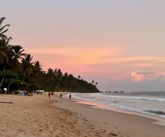 Descubra o Encanto do Litoral Paraibano: Um Guia Completo