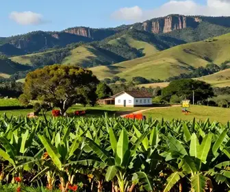 Descubra o Encanto do Turismo Rural em Bananeiras, Paraíba