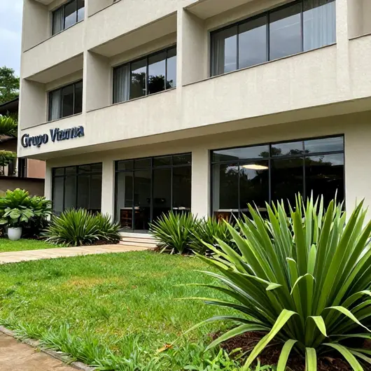 Descubra o Grupo Vianna