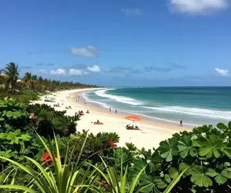 Descubra o Incrível Roteiro pelo Litoral da Paraíba Descubra o Incrível Roteiro pelo Litoral da Paraíba