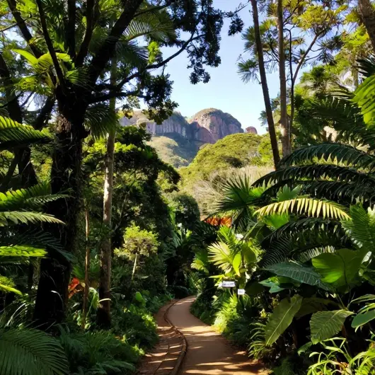 Descubra o Parque das Trilhas Guaramiranga