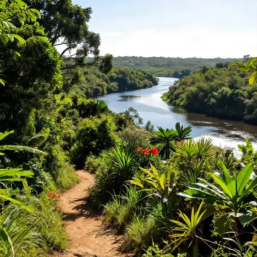 Descubra o Parque Estadual das Trilhas dos Cinco Rios