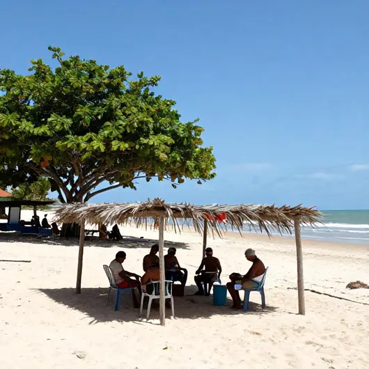 Descubra o Que Fazer em Paraíba Turismo