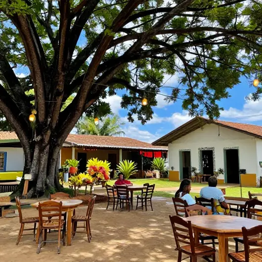 Descubra o Quintal de casa