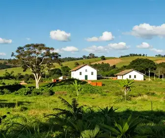 Descubra os Engenhos do Brejo Paraibano: Um Roteiro de Turismo Rural