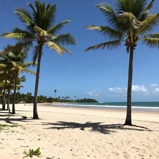 Descubra os Melhores Passeios na Paraíba