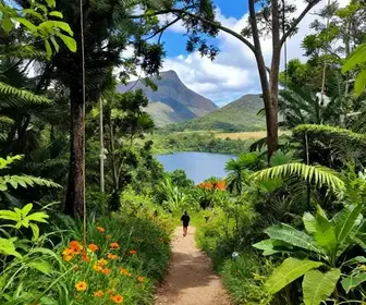 Os 15 melhores parques e trilhas na Paraíba: um guia completo