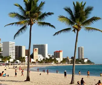 Transferências Práticas e Acessíveis para Tambaú, Paraíba